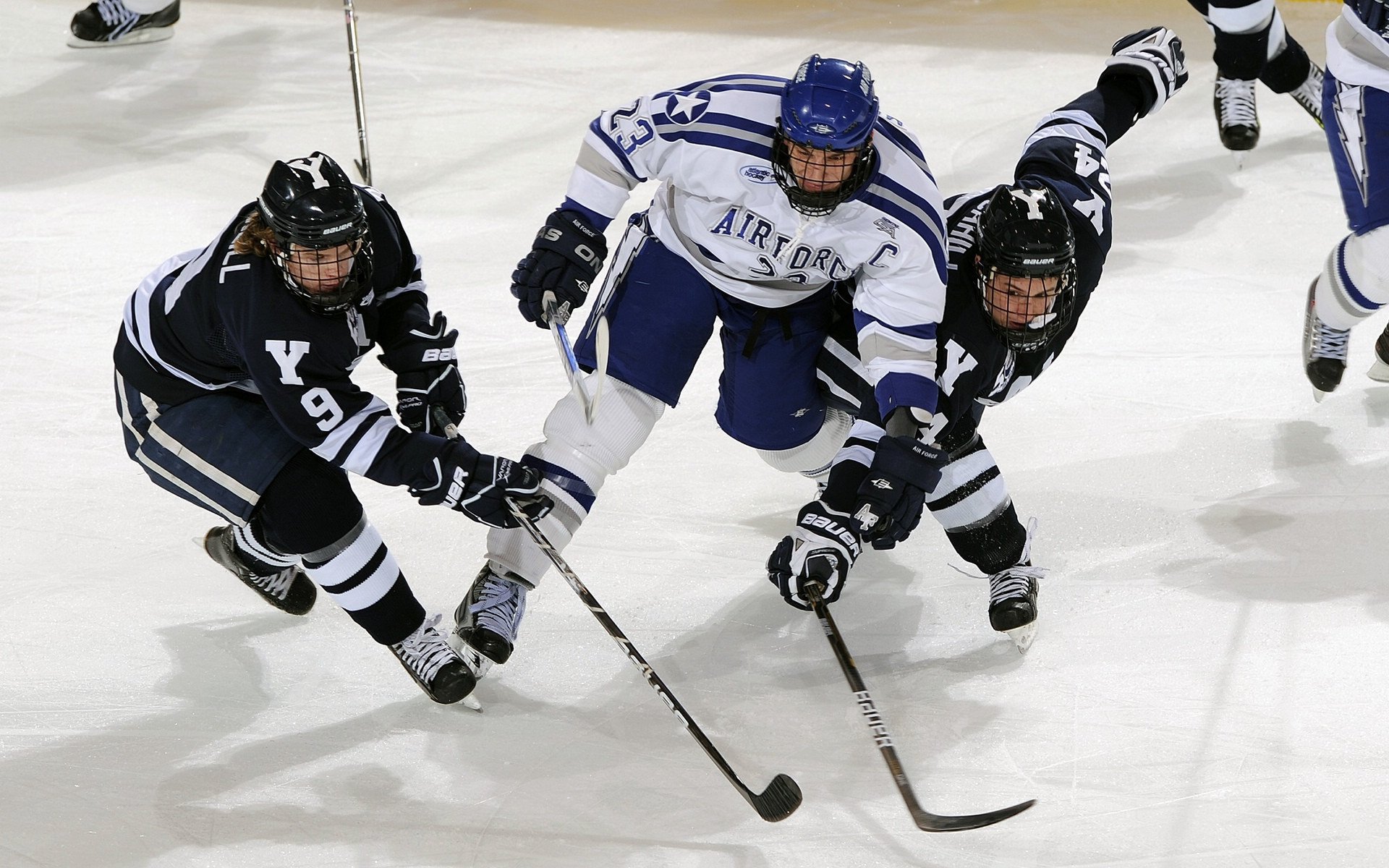 美国马术协会与国际组织合作，推广“Mustang Challenge”至全球。，美国马术俱乐部
